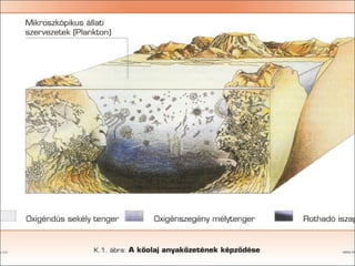 Földgáz és kőolaj
