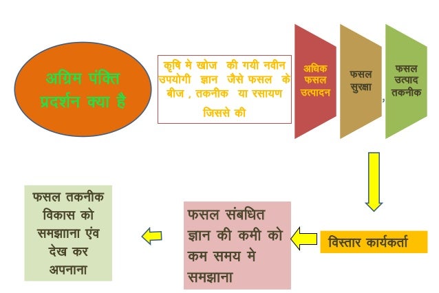 fld ppt hindi