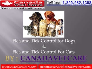Flea and Tick Control for Dogs
                    &
      Flea and Tick Control For Cats


www.canadavetcare.com   customerservice@canadavetcare.com
 