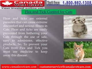 Flea and Tick Control for Dogs and Cats | PPTX