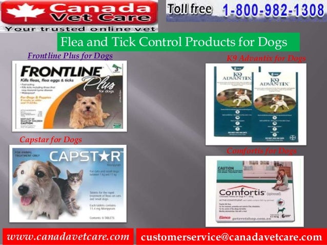 capstar and advantix