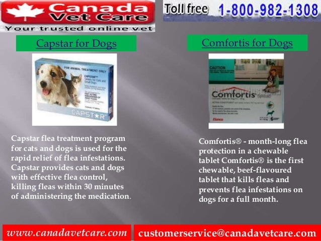 first line flea treatment