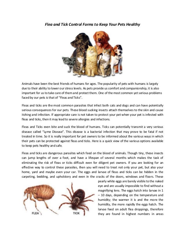 Flea and Tick Control Medicines