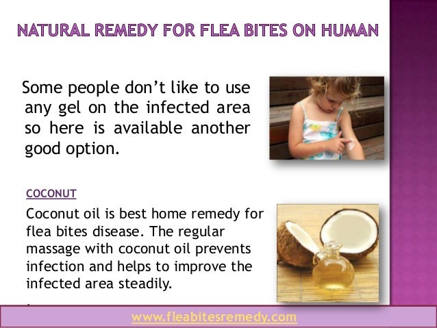 Flea Bites Remedy