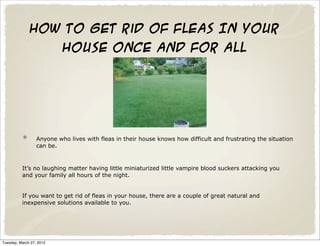 How To Get Rid Of Fleas In Your
                           House Once And For All




                  Anyone who lives with fleas in their house knows how difficult and frustrating the situation
                  can be.



          It’s no laughing matter having little miniaturized little vampire blood suckers attacking you
          and your family all hours of the night.


          If you want to get rid of fleas in your house, there are a couple of great natural and
          inexpensive solutions available to you.




Tuesday, March 27, 2012
 