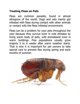Treating Fleas on Pets
Fleas are common parasite, found in almost
allregions of the world. Dogs and cats mainly get
infested with fleas during contact with other animals
or contact with the fleas infested environment.
Fleas can be a problem for your pets throughout the
year because they survive even in cold climates by
living warm body of pets, wild animalsand even in
warm buildings. Flea populations usually grow
majorly 5 to 6 weeks after warm weather starts.
That is why it is important for pet owners to take
special care to prevent flea during spring and early
months of summer.
 