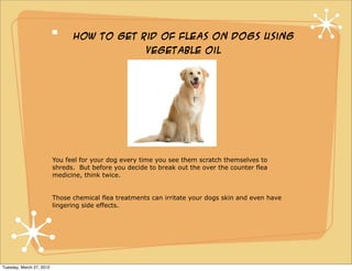 How To Get Rid Of Fleas On Dogs Using
                                                       Vegetable Oil




                          You feel for your dog every time you see them scratch themselves to
                          shreds. But before you decide to break out the over the counter flea
                          medicine, think twice.


                          Those chemical flea treatments can irritate your dogs skin and even have
                          lingering side effects.




Tuesday, March 27, 2012
 