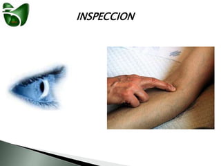 INSPECCION
 