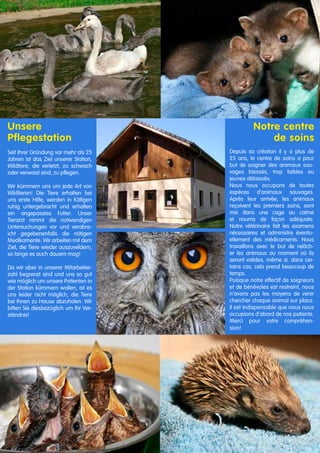 Unsere			
Pflegestation	 	
	
Seit ihrer Gründung vor mehr als 25
Jahren ist das Ziel unserer Station,
Wildtiere, die verletzt, zu schwach
oder verwaist sind, zu pflegen.		
	
Wir kümmern uns um jede Art von
Wildtieren! Die Tiere erhalten bei
uns erste Hilfe, werden in Käfigen
ruhig untergebracht und erhalten
ein angepasstes Futter. Unser
Tierarzt nimmt die notwendigen
Untersuchungen vor und verabre-
icht gegebenenfalls die nötigen
Medikamente. Wir arbeiten mit dem
Ziel, die Tiere wieder auszuwildern,
so lange es auch dauern mag!		
	
Da wir aber in unserer Mitarbeiter-
zahl begrenzt sind und uns so gut
wie möglich um unsere Patienten in
der Station kümmern wollen, ist es
uns leider nicht möglich, die Tiere
bei Ihnen zu Hause abzuholen. Wir
bitten Sie diesbezüglich um Ihr Ver-
ständnis!			
Notre centre
de soins
		
Depuis sa création il y a plus de
25 ans, le centre de soins a pour
but de soigner des animaux sau-
vages blessés, trop faibles ou
jeunes délaissés.
Nous nous occupons de toutes
espèces d‘animaux sauvages.
Après leur arrivée, les animaux
reçoivent les premiers soins, sont
mis dans une cage au calme
et nourris de façon adéquate.
Notre vétérinaire fait les examens
nécessaires et administre éventu-
ellement des médicaments. Nous
travaillons avec le but de relâch-
er les animaux au moment où ils
seront valides, même si, dans cer-
tains cas, cela prend beaucoup de
temps.
Puisque notre effectif de soigneurs
et de bénévoles est restreint, nous
n‘avons pas les moyens de venir
chercher chaque animal sur place.
Il est indispensable que nous nous
occupions d‘abord de nos patients.
Merci pour votre compréhen-
sion!	
 