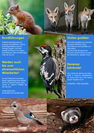 Rundführungen		
	
Geführte Besichtigungen für
Gruppen (Schulklassen, Vereine,
Ehemaligentreffen) sind auf
Anfrage möglich. Der Preis
beträgt 5€/Person. Für weitere
Informationen oder Anmeldungen
rufen Sie uns an!
Werden auch
Sie zum
ehrenamtlichen
Mitarbeiter!
Sie sind Tierfreund und wären	
bereit, regelmässig einen kleinen	
Teil Ihrer Freizeit für einen guten	
Zweck zu “opfern”? Melden Sie
sich bei uns!	
	
Voraussetzung :		
Sie müssen volljährig sein!	
	
Visites guidées
Des visites guidées pour groupes	
(groupes d‘enfants, clubs,
associations) sont possibles sur
réservation.
Le prix est de 5€/personne.
Pour plus d‘informations ou pour
les réservations, appelez-nous!
Devenez	
bénévole!
Vous aimez les animaux et seriez	
prêts à consacrer régulièrement
du temps libre pour une bonne
cause?	Appelez-nous!	
Condition : être majeur(e)!		
	
 