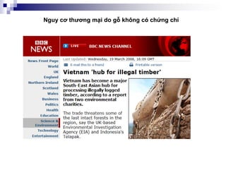 Nguy cơ thương mại do gỗ không có chứng chỉ
 