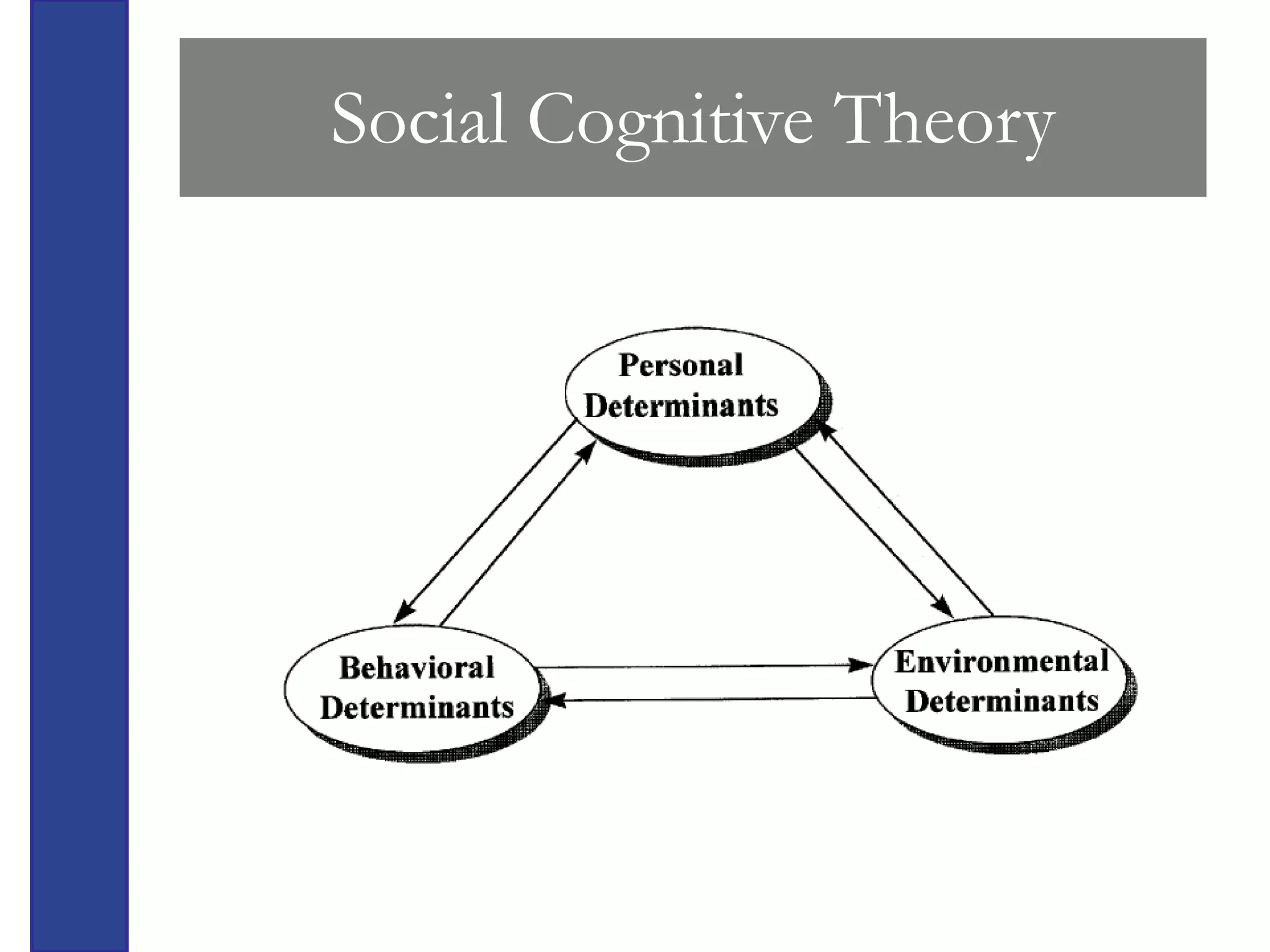 Social Cognitive Theory
 