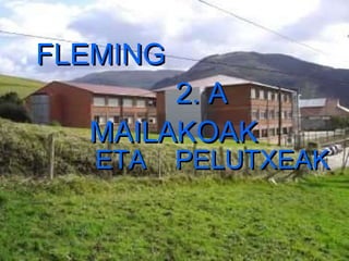 FLEMING  2. A  MAILAKOAK   ETA  PELUTXEAK 