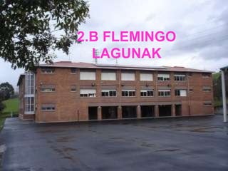 2.B FLEMINGO LAGUNAK 