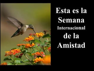Esta es la
Semana
Internacional
de la
Amistad
 