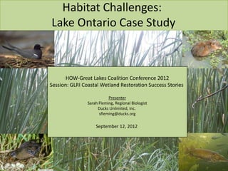 Habitat Challenges:
Lake Ontario Case Study



       HOW-Great Lakes Coalition Conference 2012
Session: GLRI Coastal Wetland Restoration Success Stories

                           Presenter
                Sarah Fleming, Regional Biologist
                     Ducks Unlimited, Inc.
                      sfleming@ducks.org

                    September 12, 2012
 