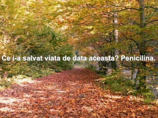Ce i-a salvat viata de data aceasta? Penicilina.
 