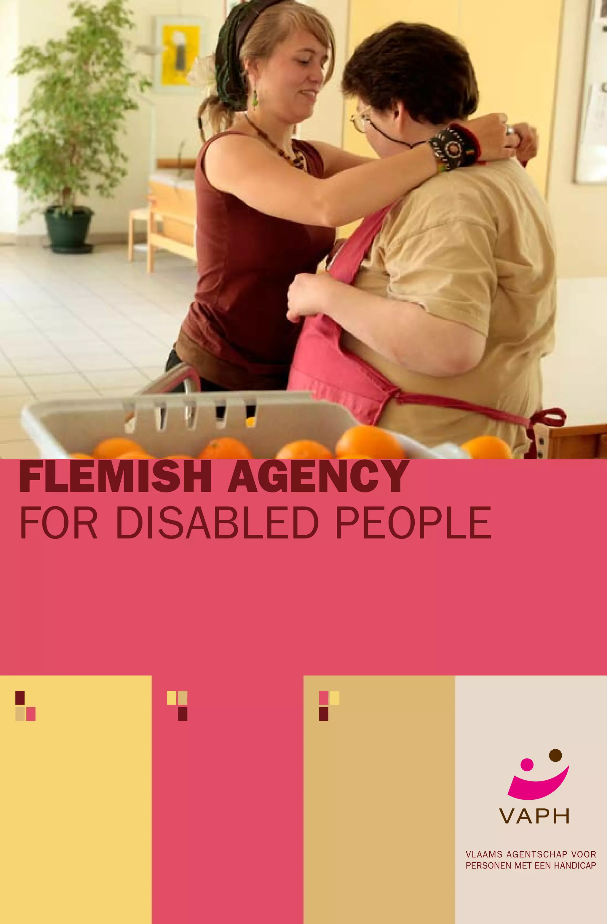 Flemish agency for disabled people | PDF