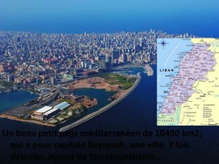 Une Libanaise a Lille