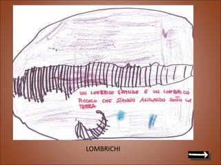 LOMBRICHI 