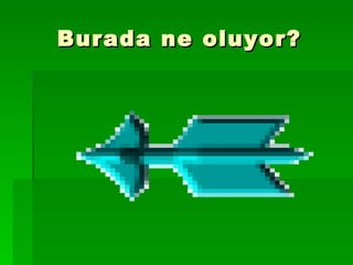 Burada ne oluyor? 