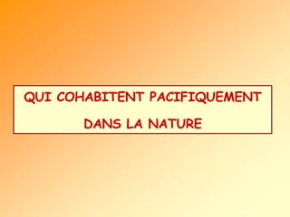 QUI COHABITENT PACIFIQUEMENT DANS LA NATURE 