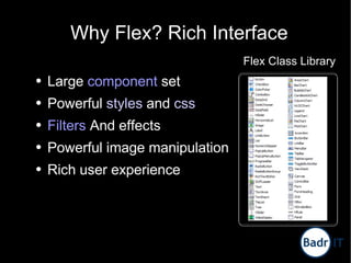 Engaging Rich Internet Applications using Flex