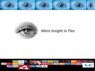 More Insight in Flex




                4/5/2012   1
 