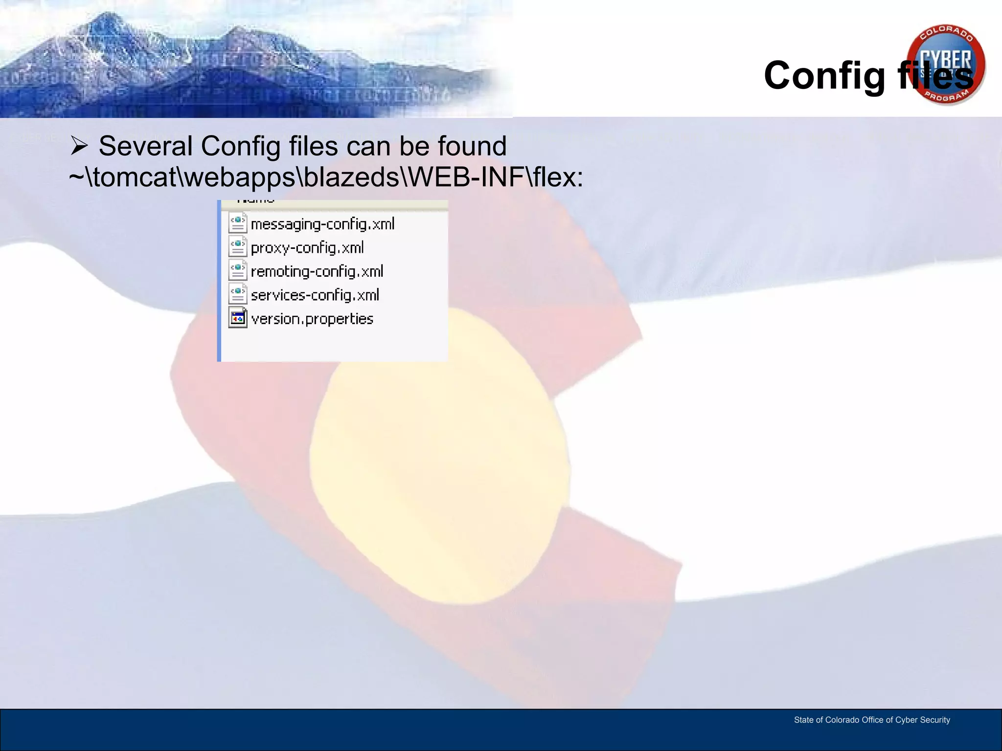 Config files Several Config files can be found  ~\tomcat\webapps\blazeds\WEB-INF\flex: 