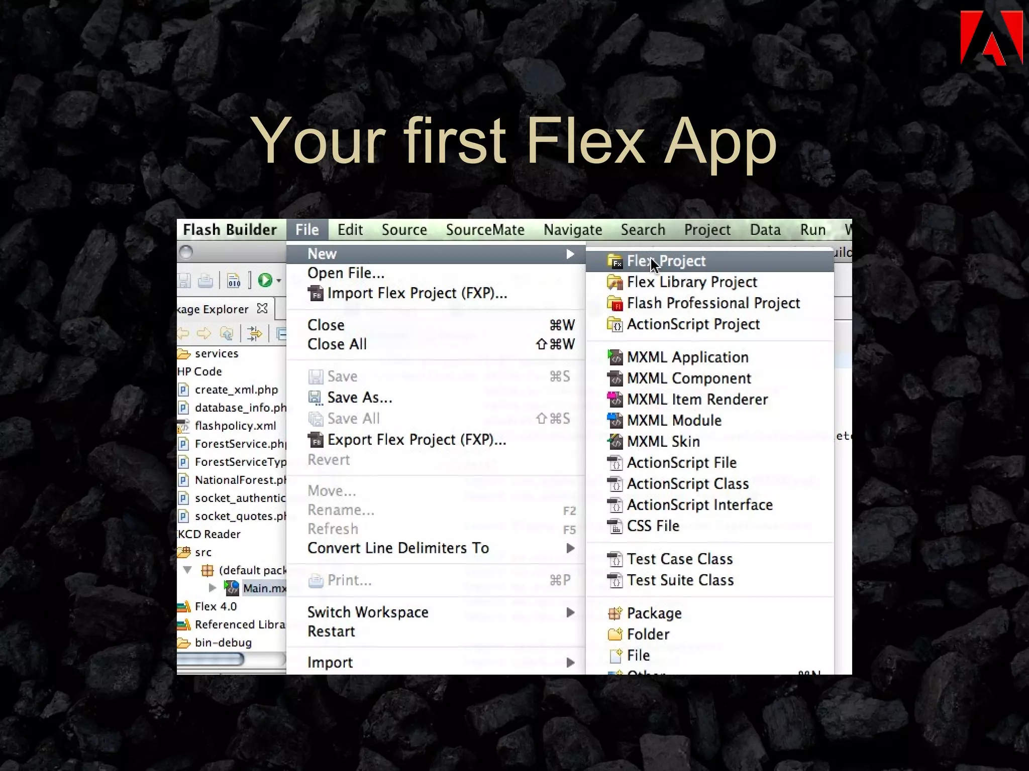 Your first Flex App 