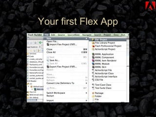 Your first Flex App 