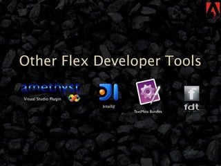 Other Flex Developer Tools

Visual Studio Plugin
                       IntelliJ
                                  TextMate Bundles
 