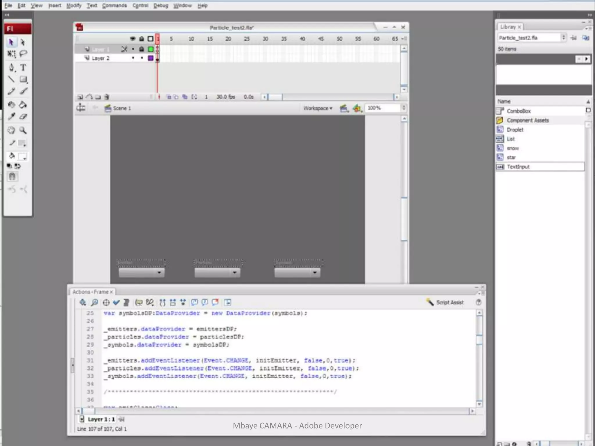 8Mbaye CAMARA - Adobe Developer