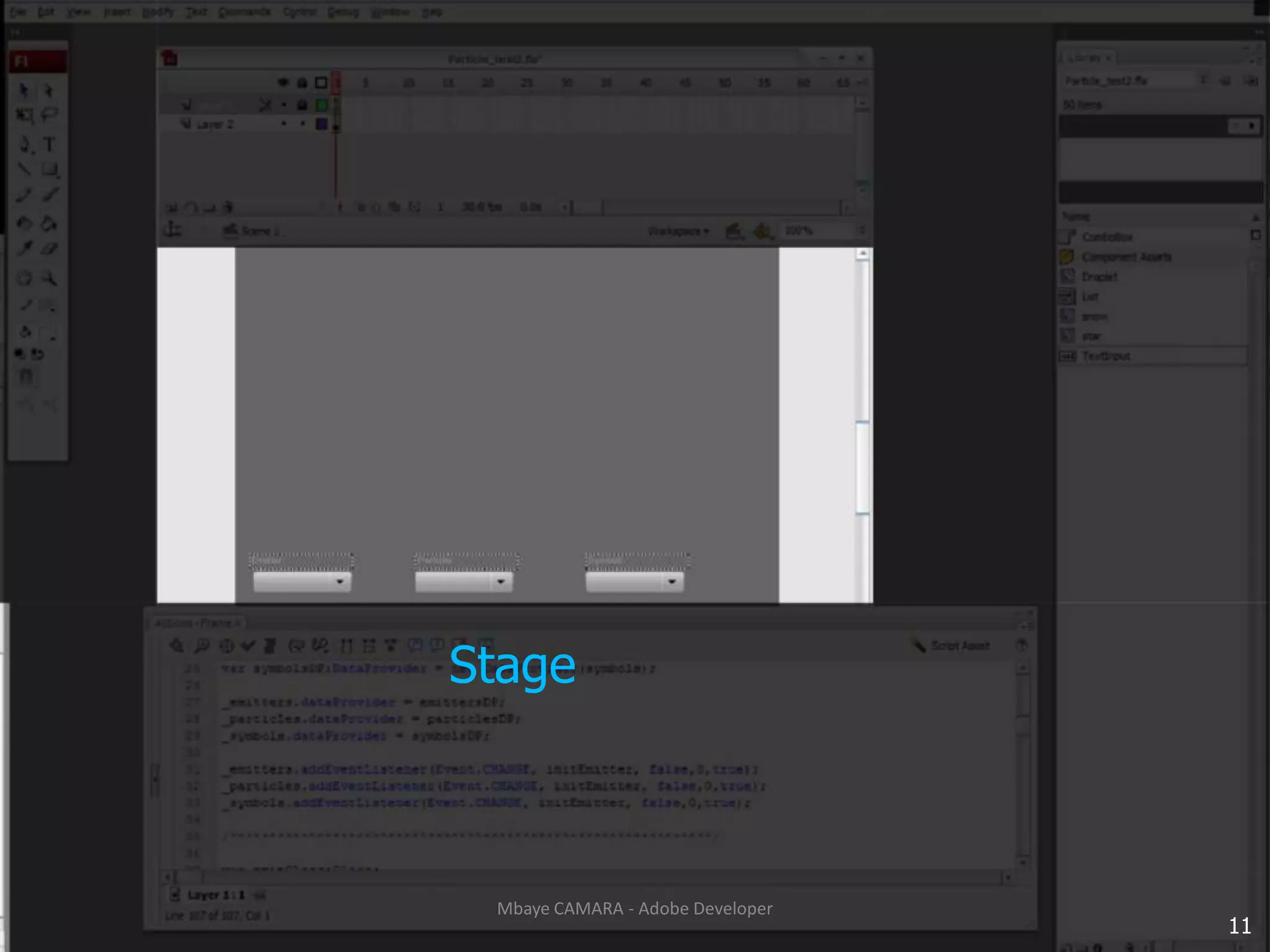 Stage11Mbaye CAMARA - Adobe Developer