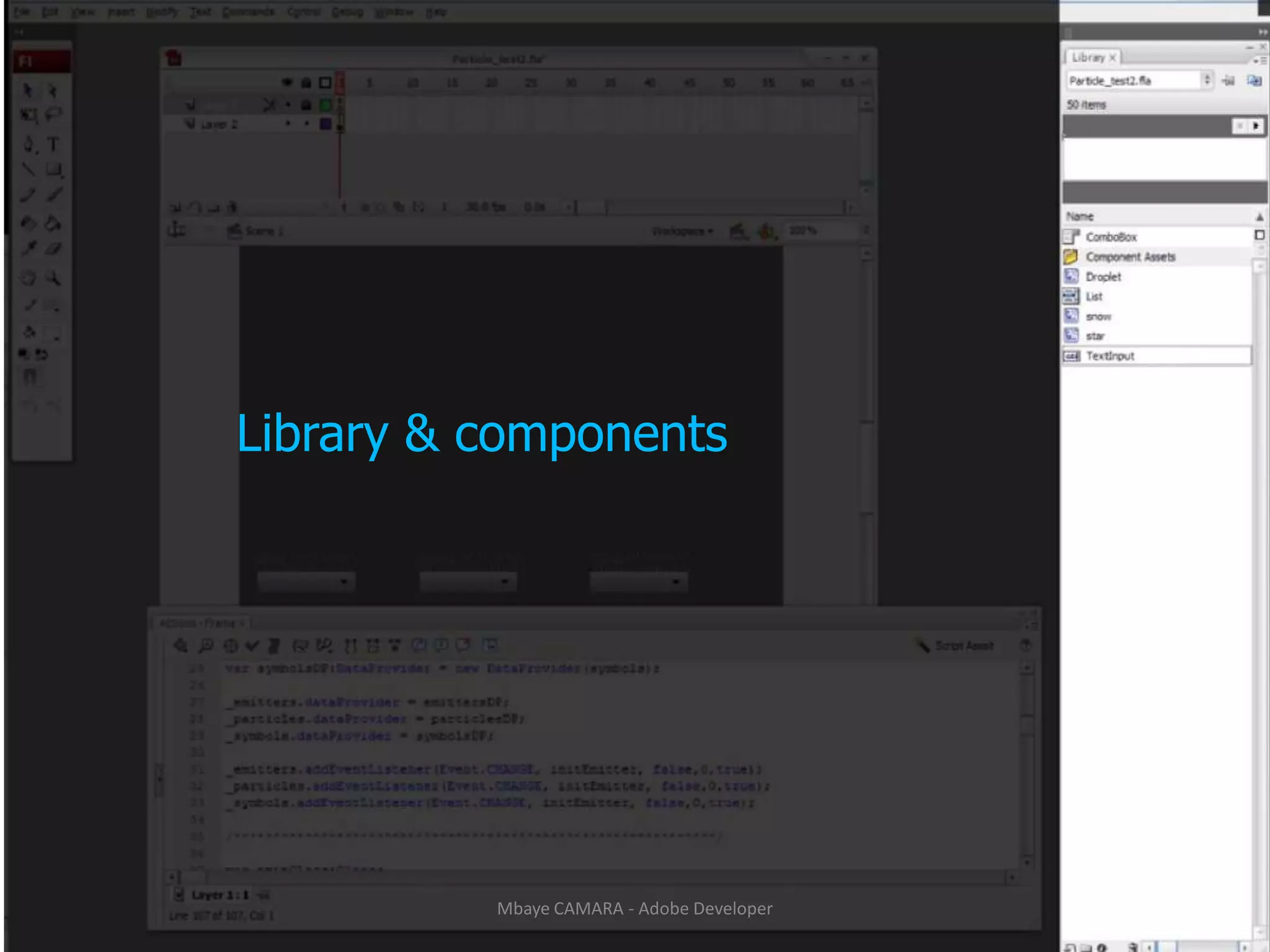 Library & components12Mbaye CAMARA - Adobe Developer