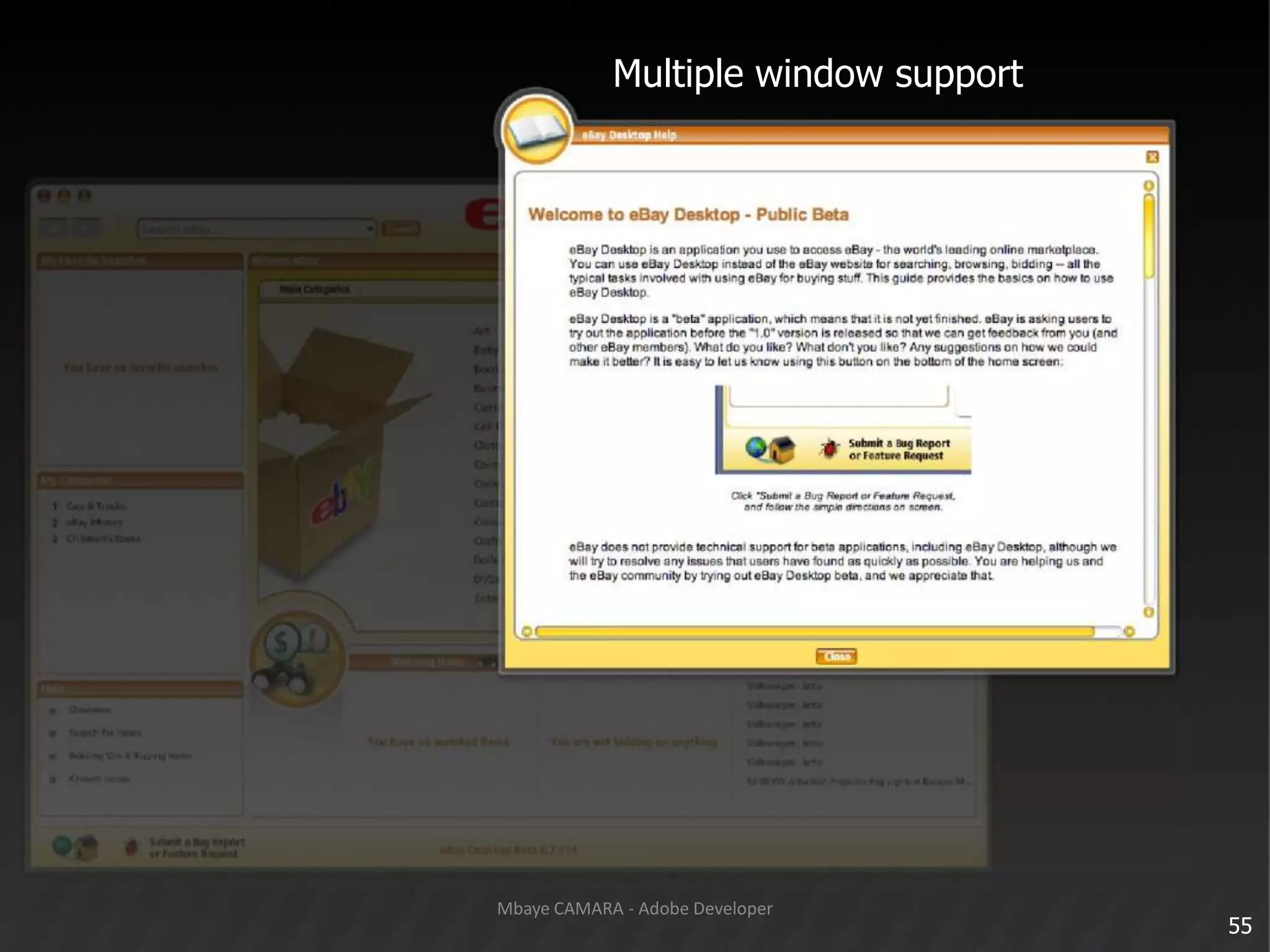 Multiple window support55Mbaye CAMARA - Adobe Developer
