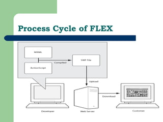 Process Cycle of FLEX 