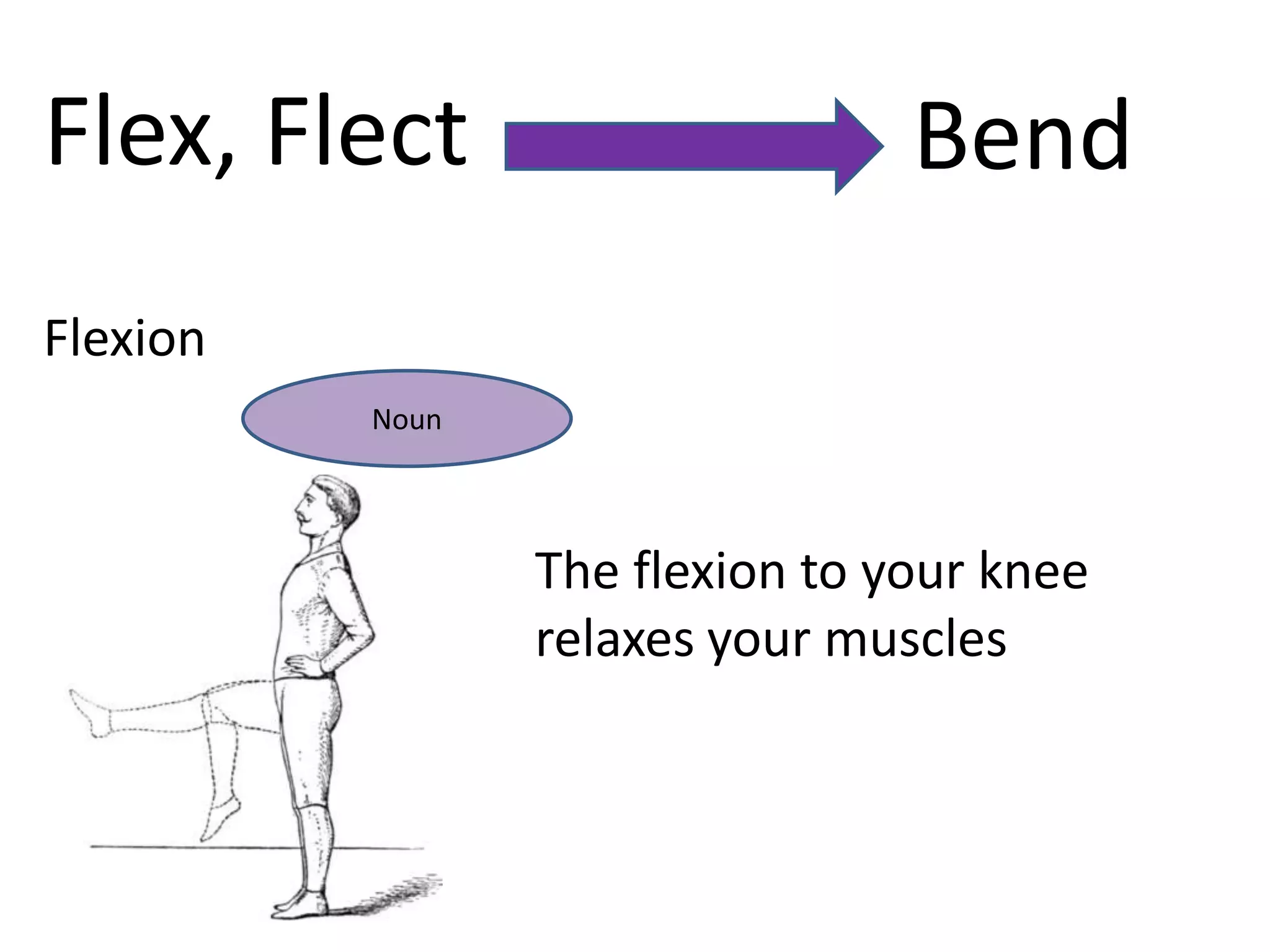 Flex, Flect                      Bend
Flexion
          Noun




                 The flexion to your knee
                 relaxes your muscles
 