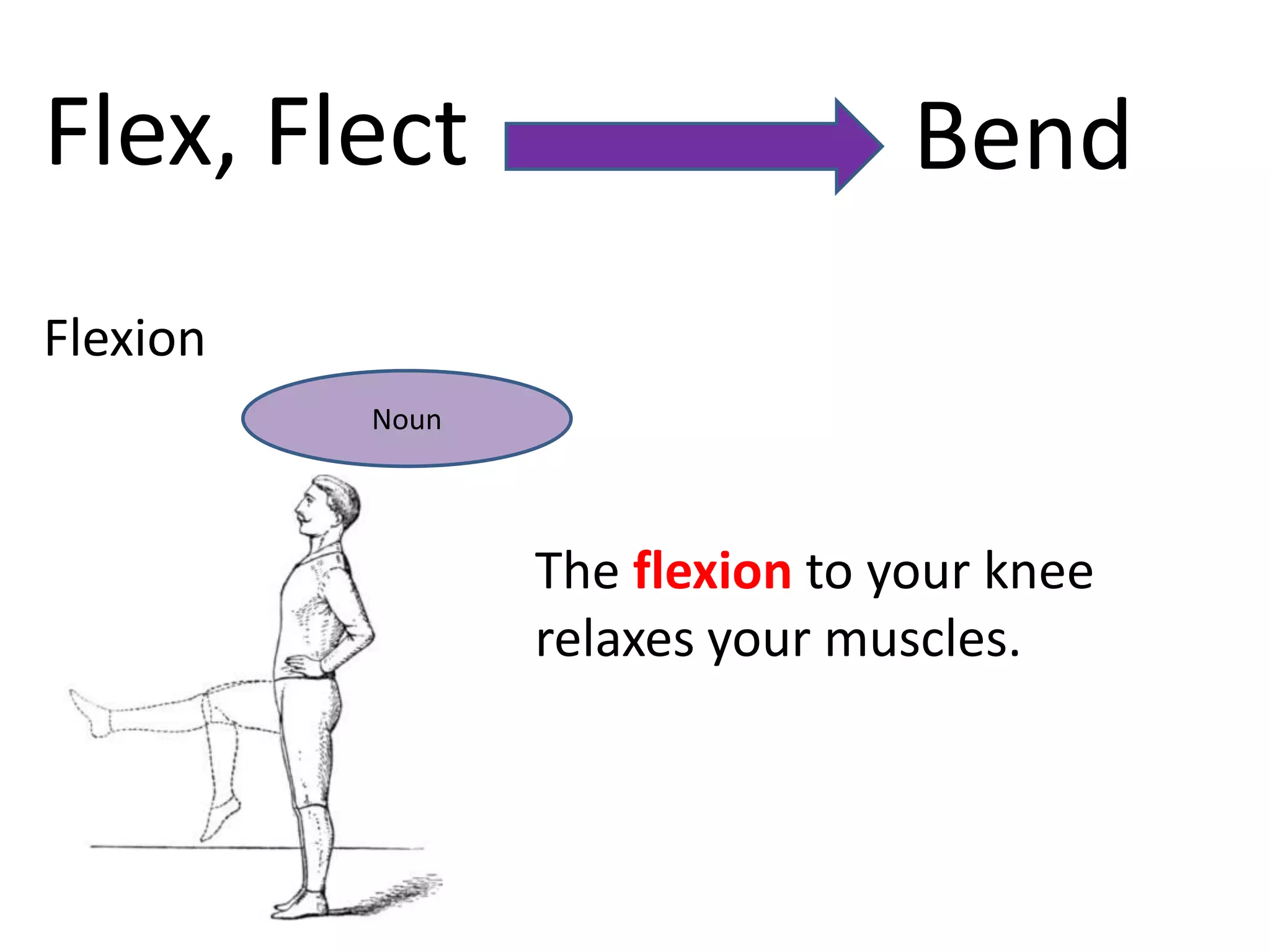 Flex, Flect                      Bend
Flexion
          Noun




                 The flexion to your knee
                 relaxes your muscles.
 