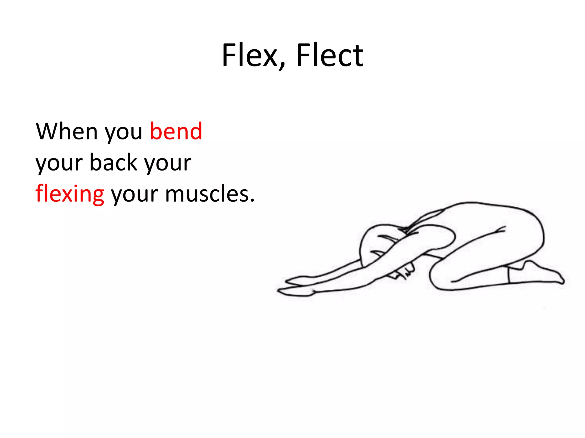 Flex, Flect

When you bend
your back your
flexing your muscles.
 