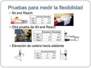 Pruebas para medir la flexibilidadSit and ReachOtra prueba de Sit and ReachElevación de cadera hacia adelante