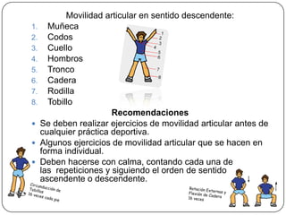 Movilidad articular en sentido descendente:MuñecaCodosCuelloHombrosTroncoCaderaRodillaTobilloRecomendacionesSe deben realizar ejercicios de movilidad articular antes de cualquier práctica deportiva.Algunos ejercicios de movilidad articular que se hacen en forma individual.Deben hacerse con calma, contando cada una de las  repeticiones y siguiendo el orden de sentido ascendente o descendente.Circunducción de Tobillos16 veces cada pieRotación Externas y Flexión de Cadera 16 veces