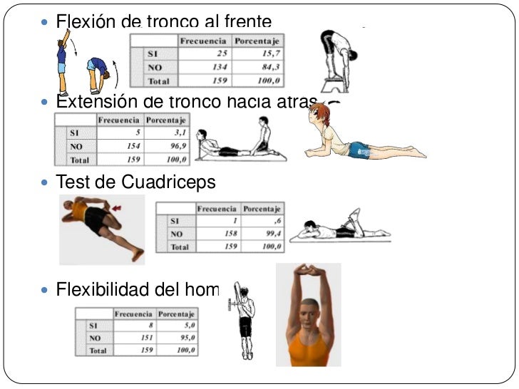 Flexibilidad