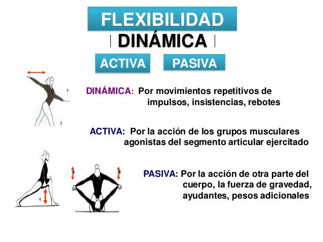 Resultado de imagen de la flexibilidad estatica y dinamica