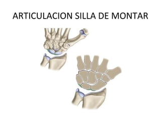 ARTICULACION SILLA DE MONTAR
 