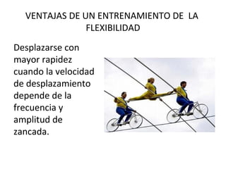 VENTAJAS DE UN ENTRENAMIENTO DE LA
FLEXIBILIDAD
Desplazarse con
mayor rapidez
cuando la velocidad
de desplazamiento
depende de la
frecuencia y
amplitud de
zancada.
 