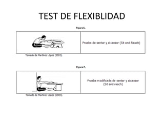 TEST DE FLEXIBLIDAD
 