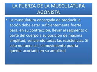LA FUERZA DE LA MUSCULATURA
AGONISTA
• La musculatura encargada de producir la
acción debe estar suficientemente fuerte
para, en su contracción, llevar el segmento o
parte del cuerpo a su posición de máxima
amplitud, venciendo todas las resistencias. Si
esto no fuera así, el movimiento podría
quedar acortado en su amplitud
 