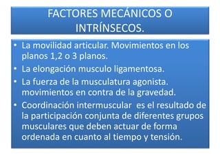 FACTORES MECÁNICOS O
INTRÍNSECOS.
• La movilidad articular. Movimientos en los
planos 1,2 o 3 planos.
• La elongación musculo ligamentosa.
• La fuerza de la musculatura agonista.
movimientos en contra de la gravedad.
• Coordinación intermuscular es el resultado de
la participación conjunta de diferentes grupos
musculares que deben actuar de forma
ordenada en cuanto al tiempo y tensión.
 