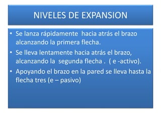 NIVELES DE EXPANSION
• Se lanza rápidamente hacia atrás el brazo
alcanzando la primera flecha.
• Se lleva lentamente hacia atrás el brazo,
alcanzando la segunda flecha . ( e -activo).
• Apoyando el brazo en la pared se lleva hasta la
flecha tres (e – pasivo)
 